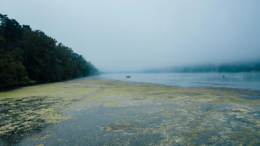 a body of water surrounded by trees on a foggy day, hurufiyya, lachlan bailey, intimidating floating sand, bucklebury ferry, ground - level medium shot