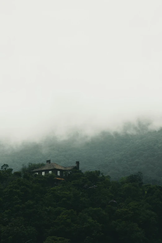 a house sitting on top of a lush green hillside, by Elsa Bleda, ominous foggy environment, overlooking, covered