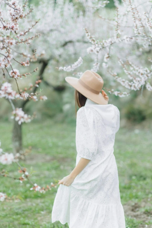 a woman in a white dress and hat standing in a field, trending on unsplash, sakura tree in background, walking away, in garden, pastel clothing