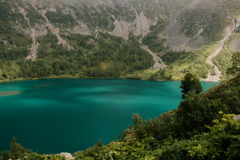 a large body of water sitting on top of a lush green hillside, by Cedric Peyravernay, pexels contest winner, chamonix, teal skin, avatar image