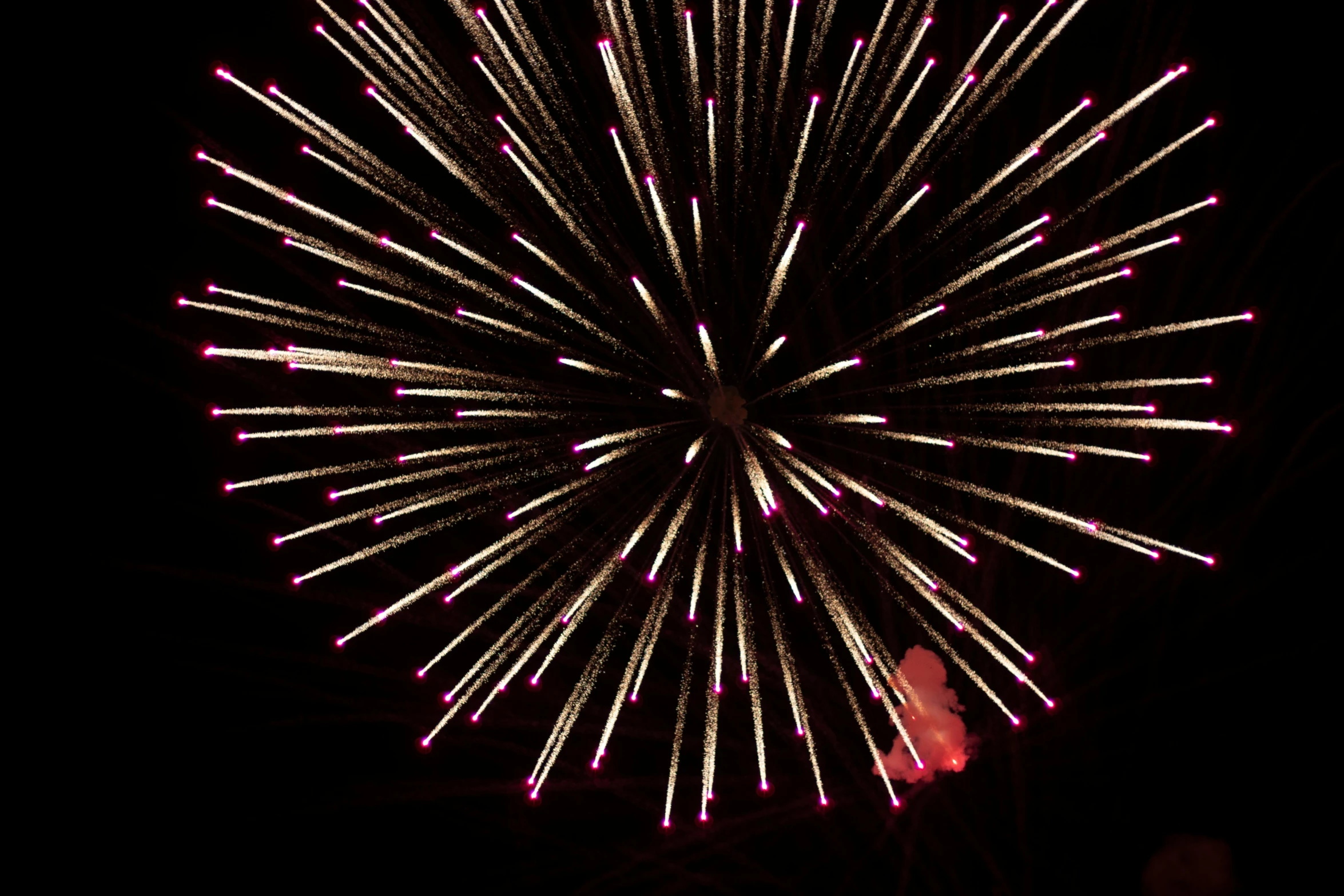 a close up of a firework in the night sky, by Jan Rustem, show from below, profile image, pink, round-cropped