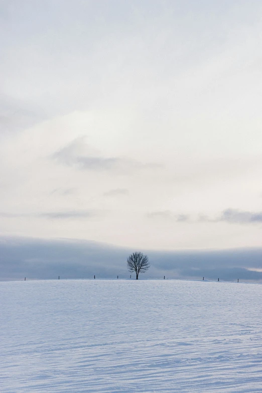 a lone tree in the middle of a snow covered field, by Wolfgang Zelmer, minimalism, square, distant clouds, a cozy, 8 k -