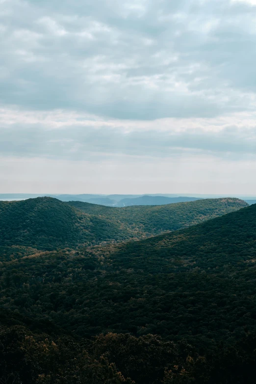 a view of the mountains from the top of a hill, by Daniel Seghers, trending on unsplash, hudson river school, 4 k cinematic panoramic view, muted green, william penn state forest, bushveld background