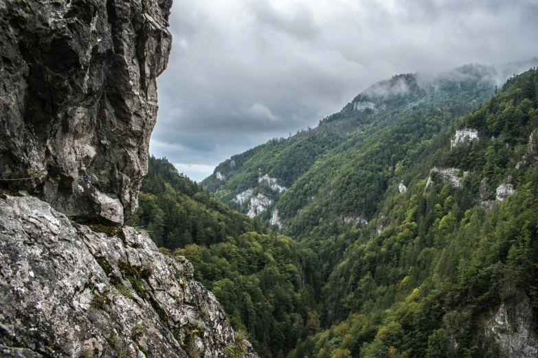 a person standing on the edge of a cliff, by Sebastian Spreng, lush forest in valley below, nature photo, thumbnail, high rocks