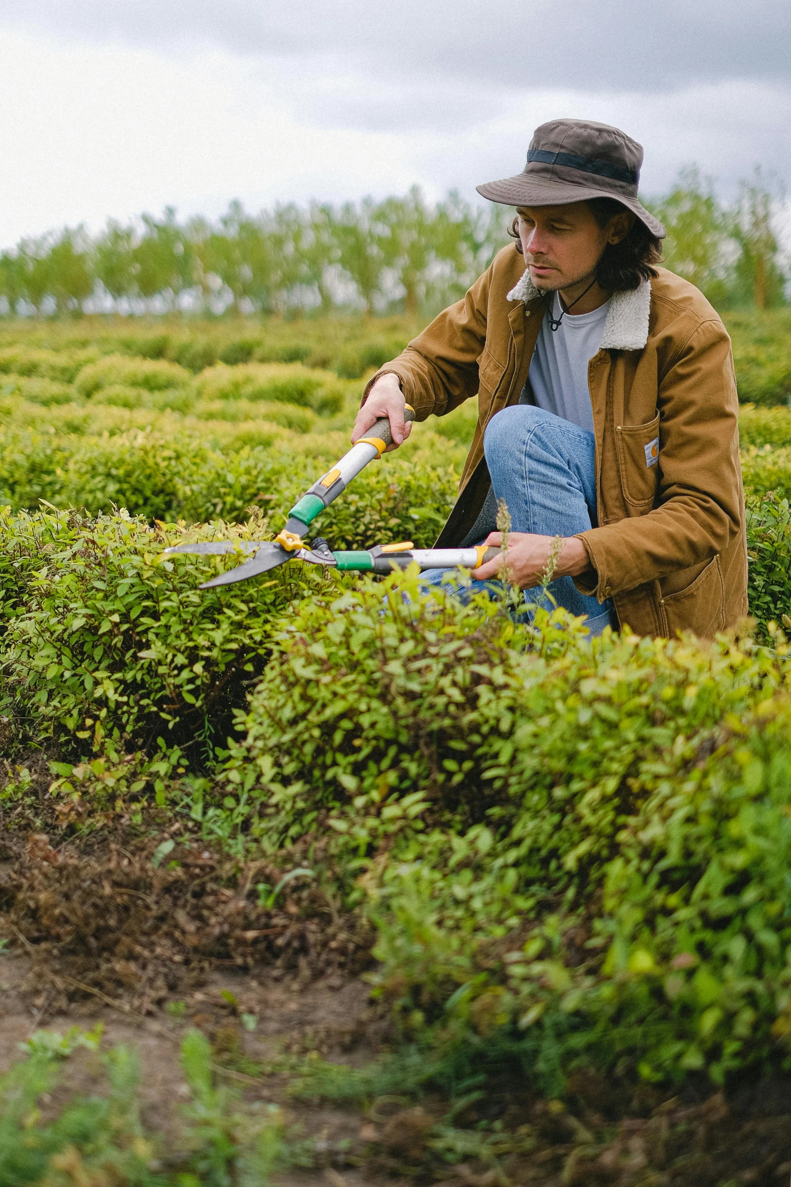 a man cutting hedges with a pair of scissors, a portrait, trending on unsplash, assam tea garden setting, japanese collection product, holding a crowbar, ai biodiversity