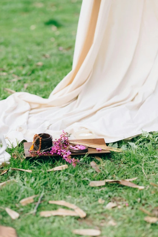 a couple of shoes sitting on top of a lush green field, ornate flowing robe, place setting, manuka, carrying a tray