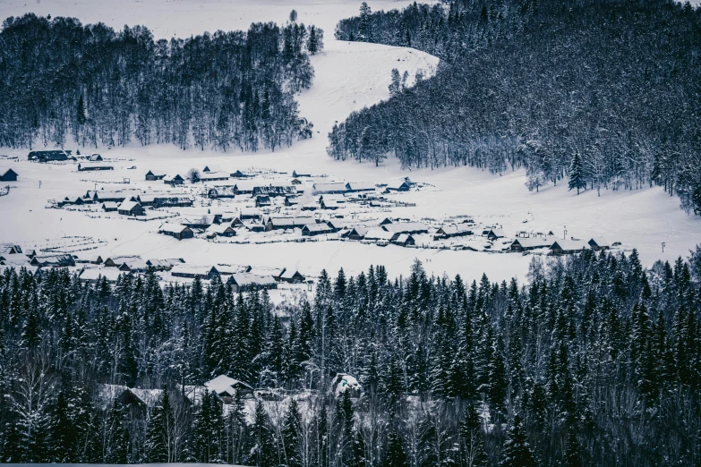 a village in the middle of a forest covered in snow, inspired by Einar Hakonarson, pexels contest winner, hurufiyya, 1940s photo, grey, navy, mongolia