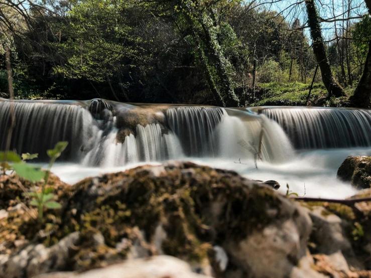 a group of elephants standing on top of a waterfall, by Mirko Rački, pexels contest winner, hurufiyya, river in the wood, slow shutter, a photo of a lake on a sunny day, thumbnail