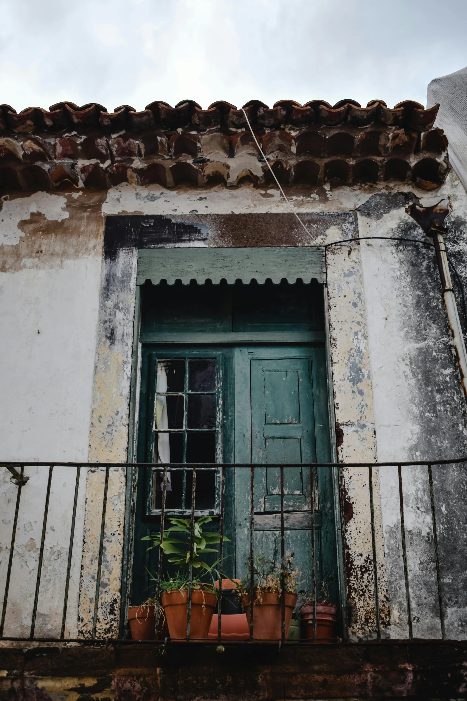 a balcony with potted plants and a green door, an album cover, pexels contest winner, baroque, deteriorated, location ( favela ), green and brown color palette, looking out