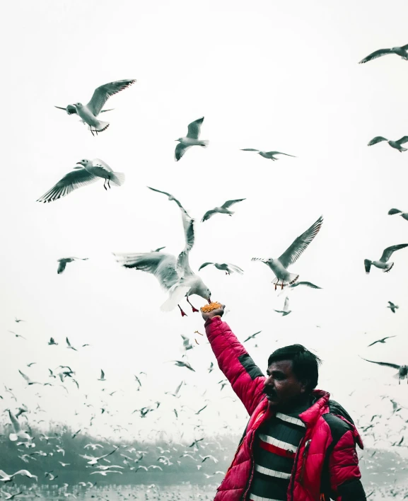 a man standing in front of a flock of birds, pexels contest winner, two hands reaching for a fish, mittens, wearing a flying jacket, trending on vsco