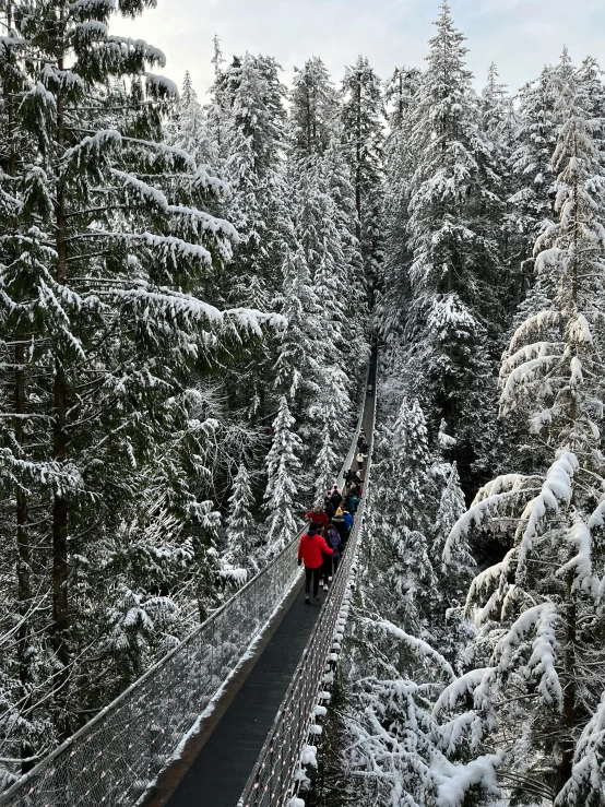 a group of people walking across a snow covered bridge, over the tree tops, vancouver, slide show, thumbnail