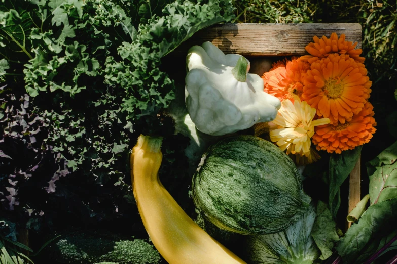 a basket filled with lots of different types of vegetables, a still life, unsplash, yellow and green, exterior shot, lush, rectangle