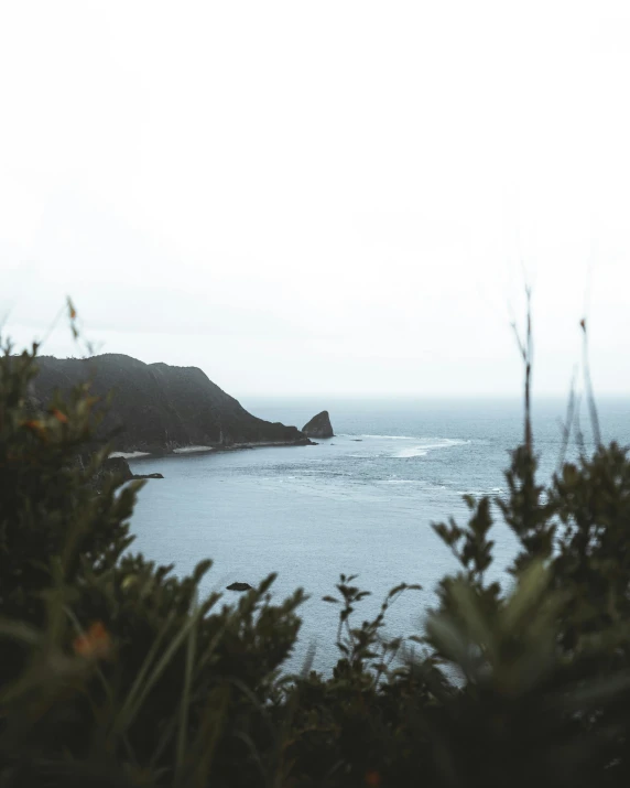 a view of the ocean from the top of a hill, by Kyle Lambert, unsplash contest winner, sumatraism, new zeeland, grey, slightly tanned, 2000s photo