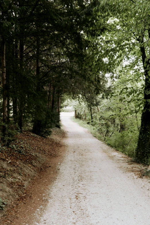 a man riding a bike down a dirt road, a picture, by Lucia Peka, unsplash, renaissance, a beautiful pathway in a forest, 2 5 6 x 2 5 6 pixels, lourmarin, panorama
