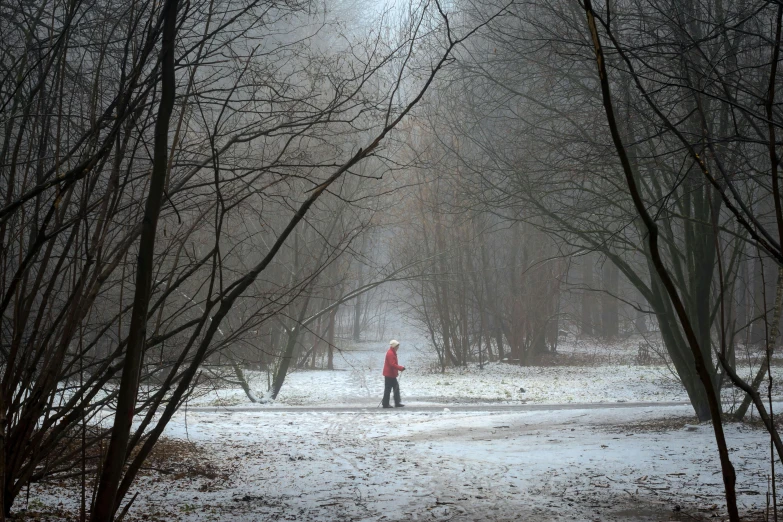 a person walking through a snow covered forest, by Béla Nagy Abodi, pexels contest winner, red fog on the ground, at a park, grey, photo 8 k