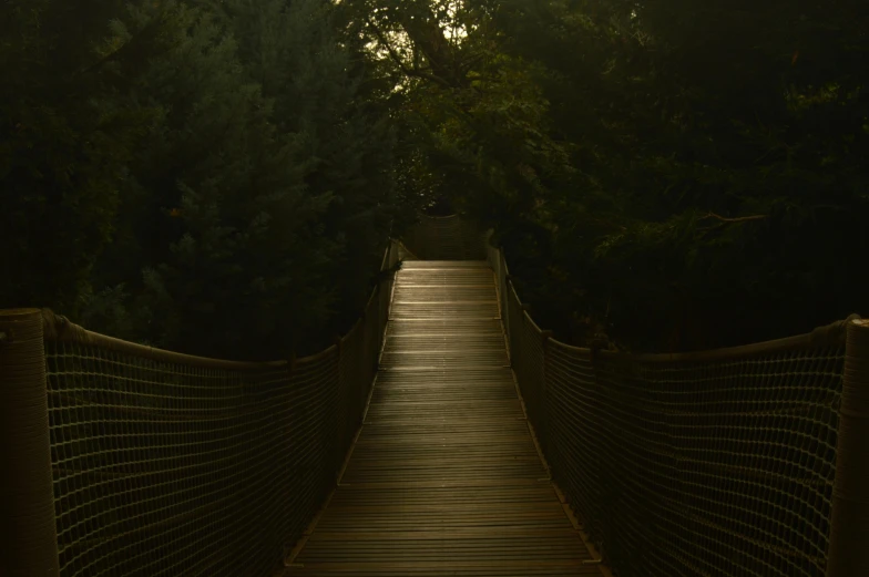 a suspension bridge in the middle of a forest, inspired by Elsa Bleda, unsplash contest winner, tonalism, no people 4k, catwalk, ignant, in the evening