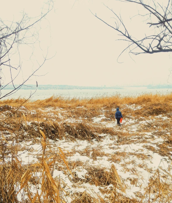 a person standing on top of a snow covered field, an album cover, unsplash, phragmites, shore, sangyeob park, child