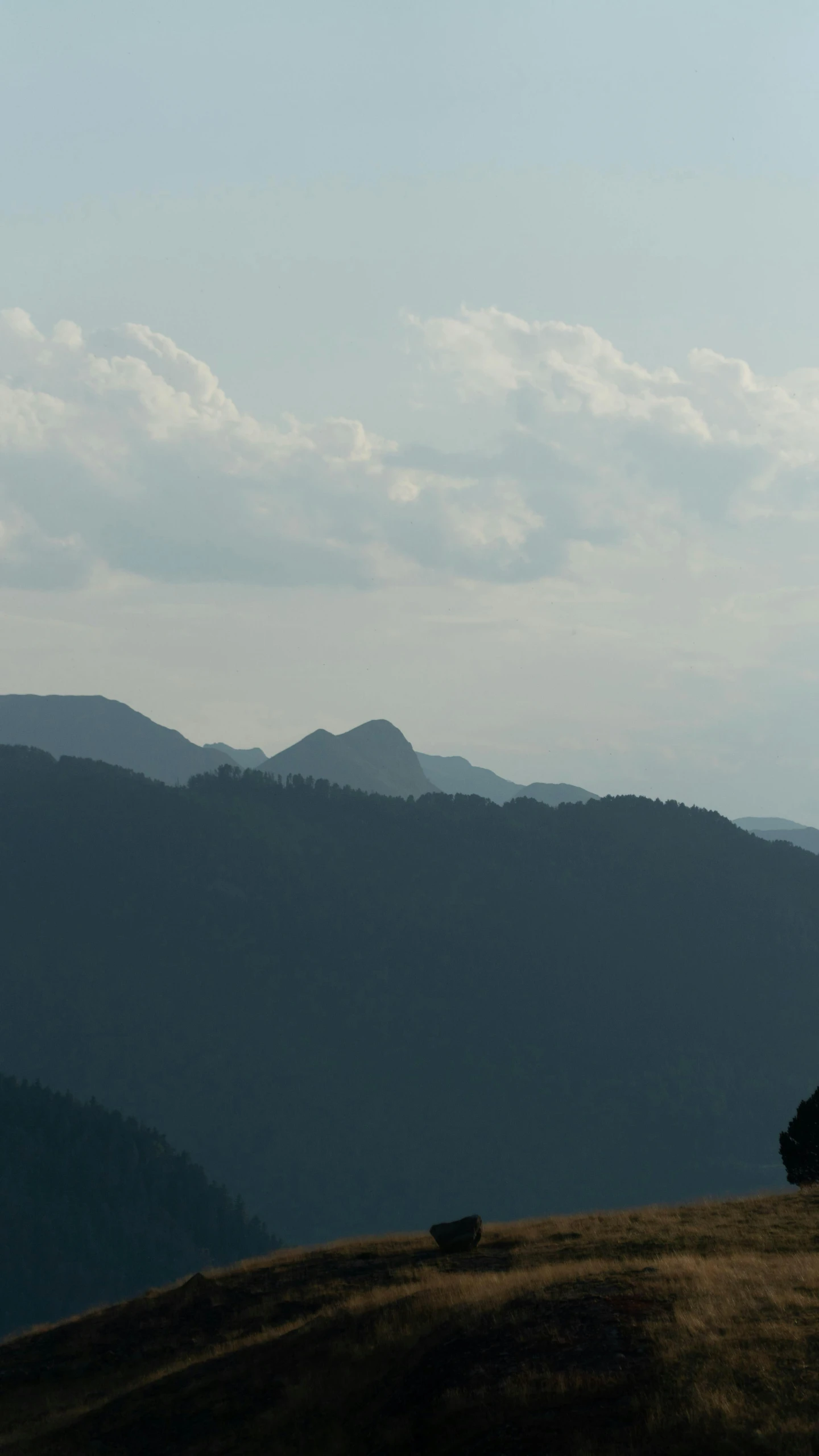 a couple of cows standing on top of a hill, an album cover, pexels contest winner, sumatraism, panorama distant view, uttarakhand, silhouette, today\'s featured photograph 4k