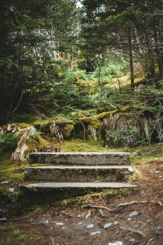 a bench sitting in the middle of a forest, stone steps, in an arctic forest, lush surroundings, stairways