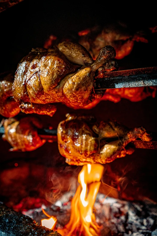 a close up of food being cooked on a grill, duck, braavos, profile image, firelight