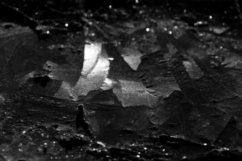 a black and white photo of a puddle of water, a microscopic photo, inspired by Siegfried Haas, pexels, broken glass photo, dimly lit scene, metal with chipped paint texture, feathers ) wet