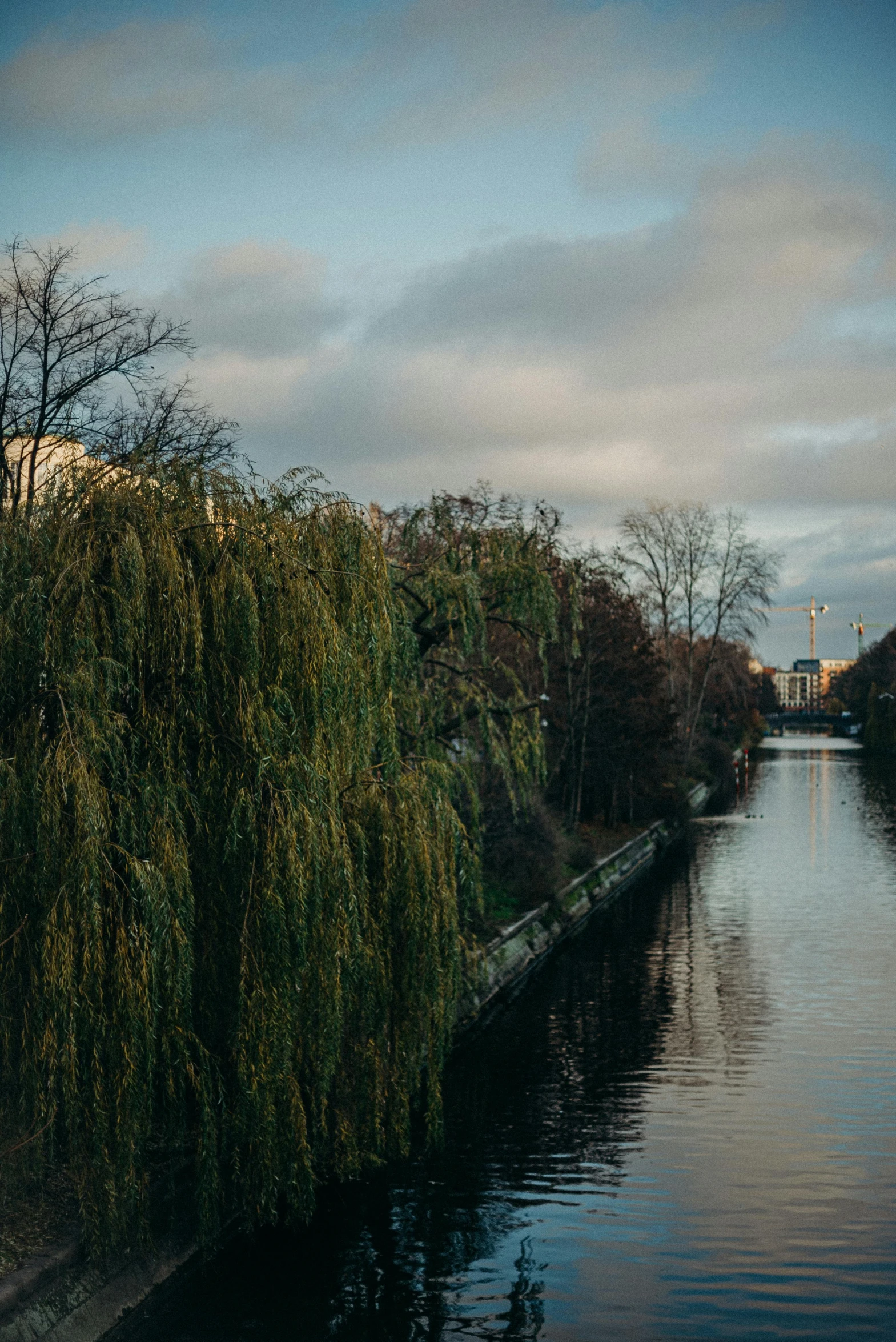 a large body of water surrounded by trees, unsplash, berlin secession, late afternoon, canal, low quality photo, autum