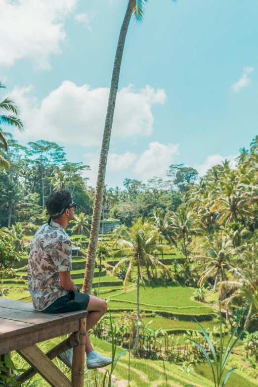 a man sitting on top of a wooden bench, sumatraism, lush gardens hanging, heavily upvoted, blue skies, rice paddies