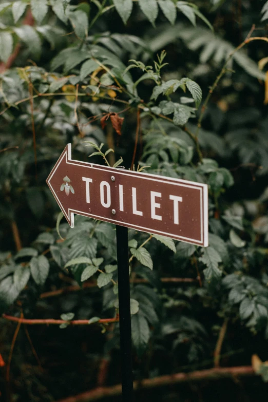 a close up of a street sign with trees in the background, by Adam Marczyński, trending on unsplash, siting on a toilet, brown, chocolate, plain background