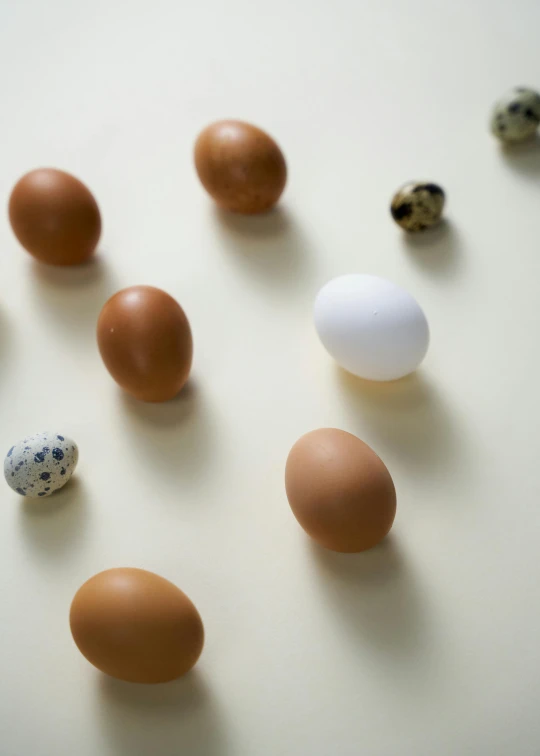 a table topped with lots of different types of eggs, by Matthias Stom, trending on unsplash, renaissance, photograph credit: ap, multiple stories, high angle, on clear background