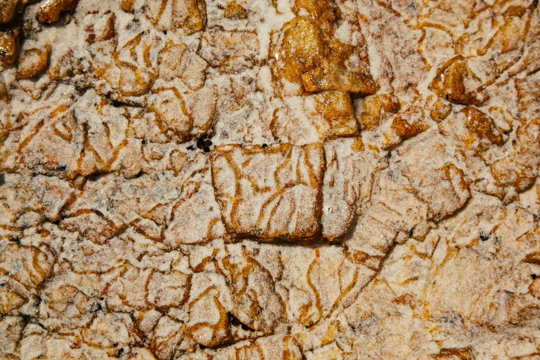 a close up of some food on a table, a macro photograph, figuration libre, cracked mud, mendelbrot fractal, genevieve gauckler, palette knife texture