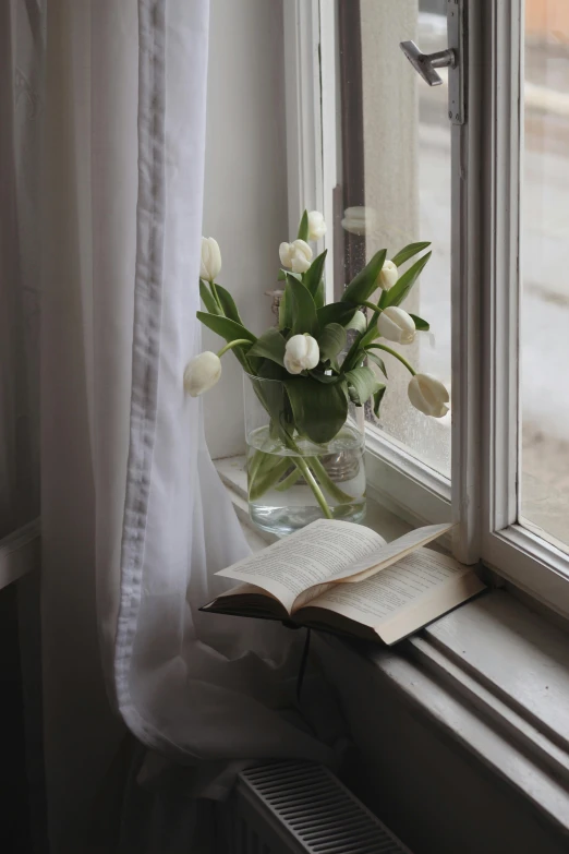 an open book sitting on top of a window sill, a still life, inspired by Cassandra Austen, pexels contest winner, tulips, white hue, winter, small library