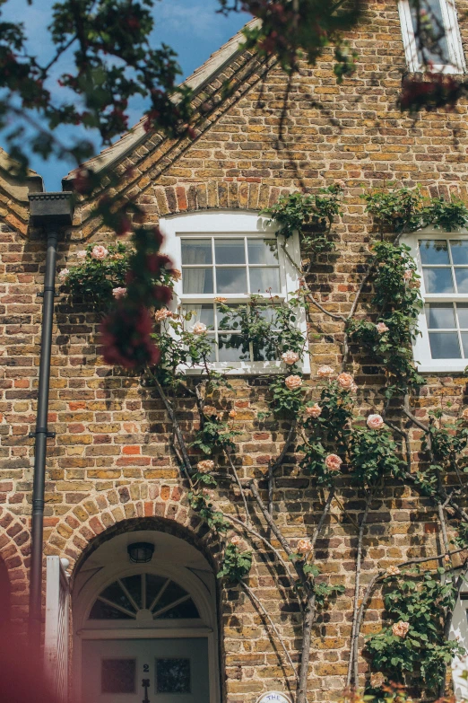 a red fire hydrant sitting in front of a brick building, inspired by Robert Bery, pexels contest winner, arts and crafts movement, vines hanging from trees, sunny bay window, panoramic shot, jane austen