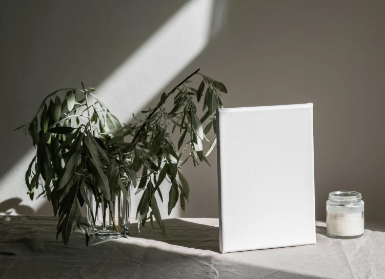 a picture frame sitting on top of a table next to a plant, a minimalist painting, cool white color temperature, light and shadows, 144x144 canvas, photo of a model