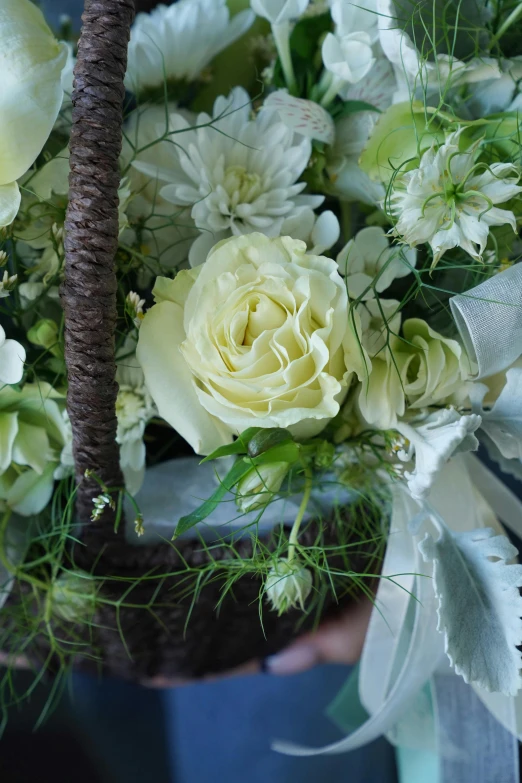 a person holding a basket filled with white flowers, inspired by François Boquet, light greens and whites, middle close up, slate, white spiral horns