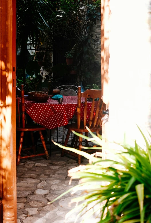 a patio with a table and chairs and a potted plant, a portrait, by Riad Beyrouti, unsplash, cottage close up, polka dot tables, breakfast, light coming from the entrance