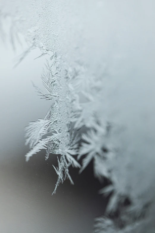 a close up of a frost covered window, a macro photograph, pexels, ilustration, trailing white vapor, silver，ivory, mid riff