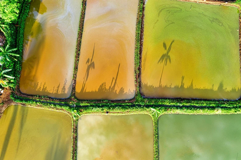 a group of tiles sitting on top of a lush green field, inspired by Steve McCurry, unsplash contest winner, color field, color aerial photo drone, ponds of water, color pigments spread out in air, indonesia national geographic