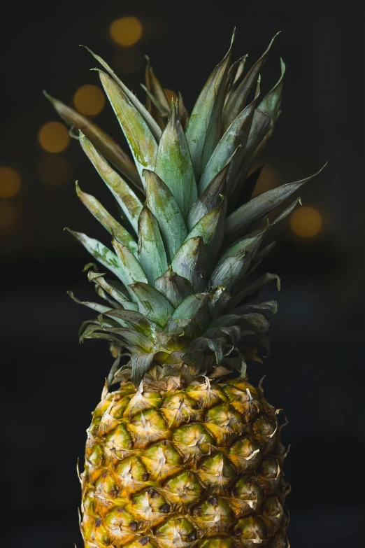 a close up of a pineapple on a table, uplit, tall, single pine, shot with sony alpha 1 camera