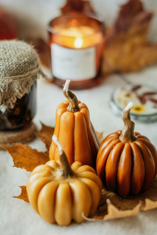 a couple of small pumpkins sitting on top of a table, a still life, pexels, holding a candle, brightly lit, made of glazed, trio