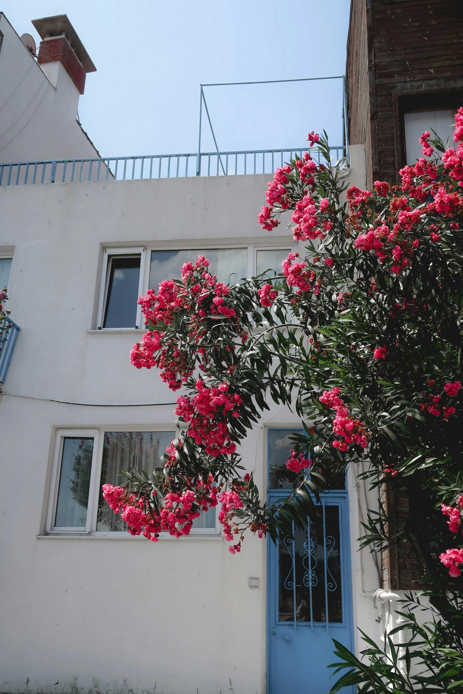 a white building with pink flowers in front of it, a photo, by Niko Henrichon, tel aviv street, apartment, exterior view, azure and red tones
