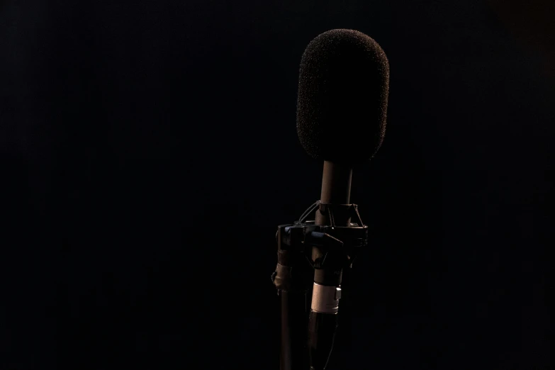 a microphone in front of a black background, by David Begbie, unsplash, hurufiyya, portrait of tall, isolated on white background, cinematic shot ar 9:16 -n 6 -g, mixed medias