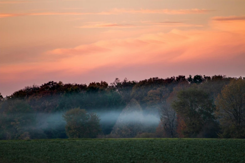 a foggy field at sunset with trees in the background, inspired by George Inness, unsplash contest winner, light pink clouds, william penn state forest, harvest fall vibrance, green gas spreading across land