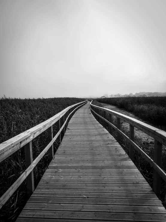 a black and white photo of a boardwalk, by Mathias Kollros, unsplash, marshes, curves, black & white photo, low fog