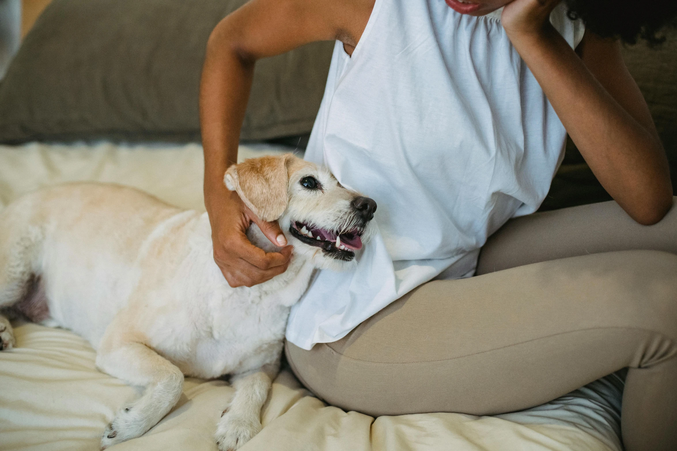 a woman sitting on a bed petting a dog, trending on pexels, dressed in a white t shirt, vibrating, manuka, dog teeth