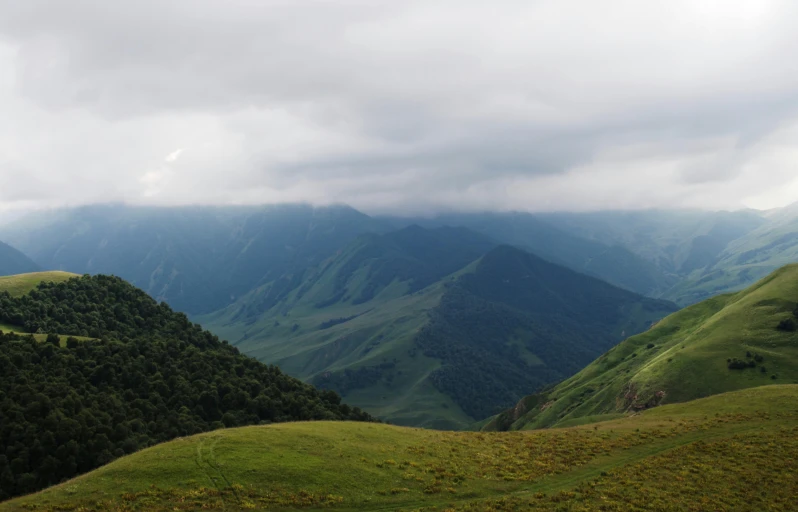 a couple of cows standing on top of a lush green hillside, by Muggur, pexels contest winner, les nabis, panorama distant view, overcast, ayanamikodon and irakli nadar, фото девушка курит