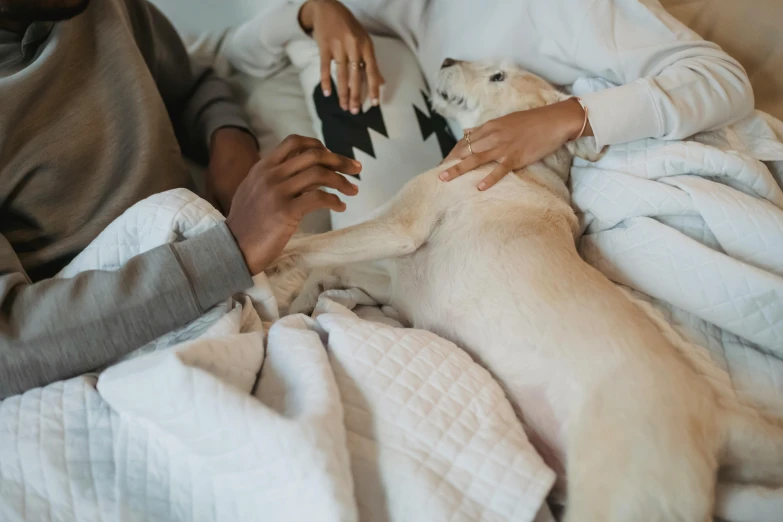 a man and woman laying in bed with a dog, by Emma Andijewska, pexels contest winner, wearing a white hospital gown, sleek hands, labrador, gif