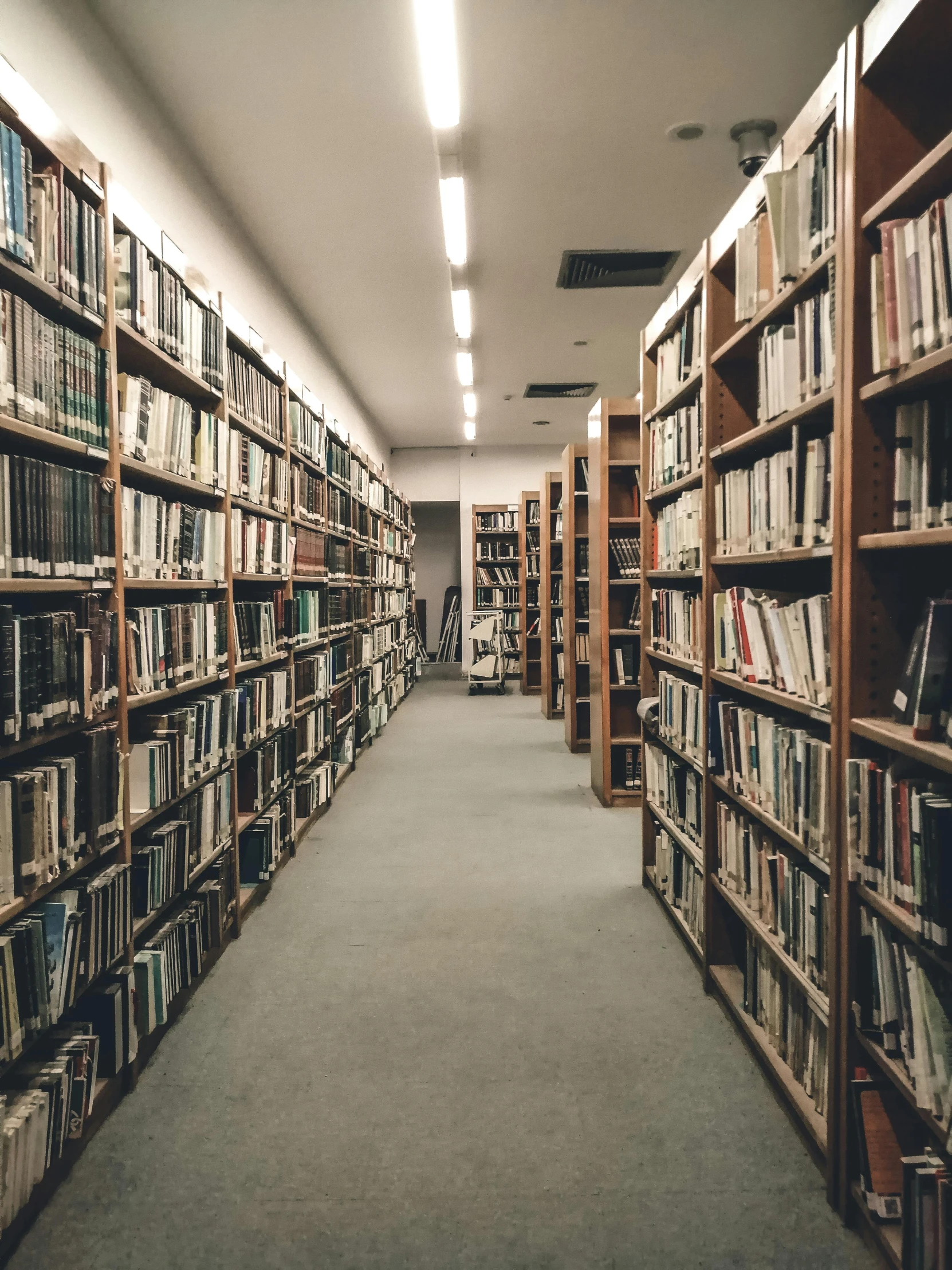 a long row of books in a library, an album cover, unsplash contest winner, reddit post, 2000s photo, movie photo, slight overcast lighting