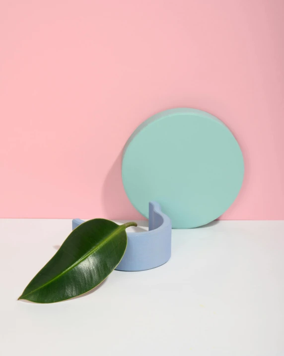 a green leaf sitting on top of a white table, an abstract sculpture, inspired by Lucio Fontana, new sculpture, pastel blue, circular, official product photo, pestle