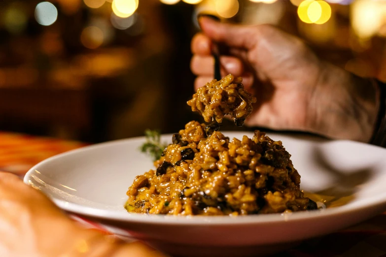 a close up of a plate of food on a table, pexels contest winner, renaissance, embers to waist, rice, sloppy, square