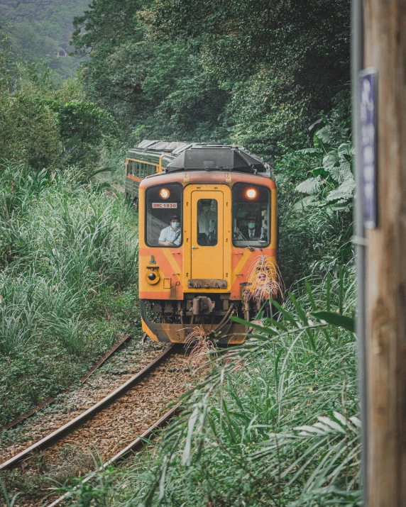 a yellow train traveling through a lush green forest, unsplash contest winner, sumatraism, vintage photo, taiwan, thumbnail, multiple stories